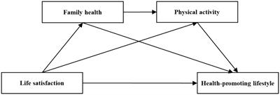 The chain mediating role of family health and physical activity in the relationship between life satisfaction and health-promoting lifestyles among young adults in China